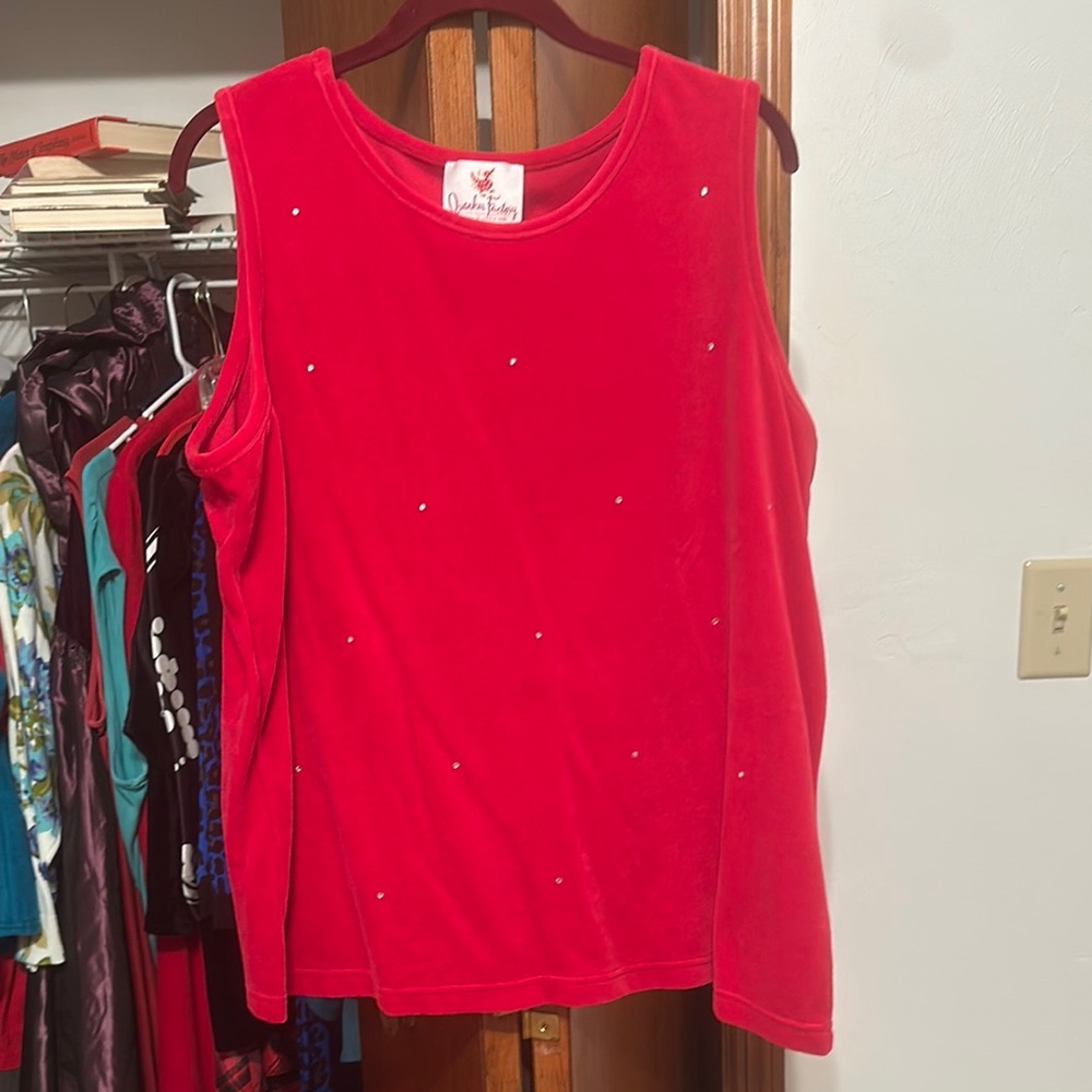 Red Sleeveless Top with Embellishments velvet